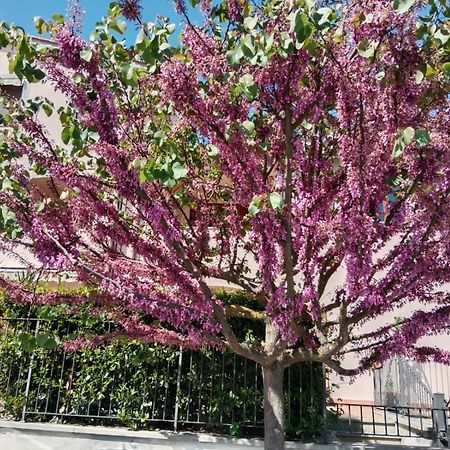 Via Della Musica Apartment Vicchio Bagian luar foto